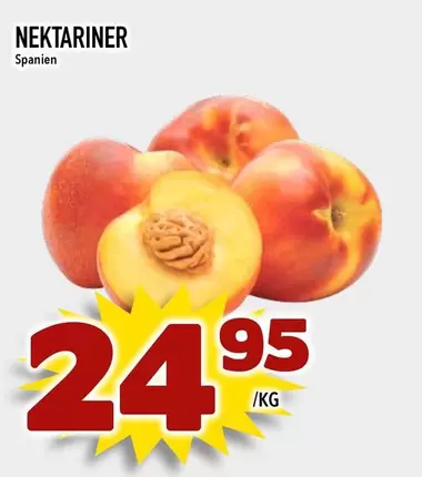 NEKTARINER