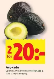 Avokado
