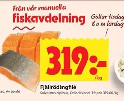 Fjällrödingfilé