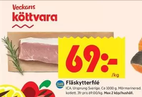 Fl
kytterfil