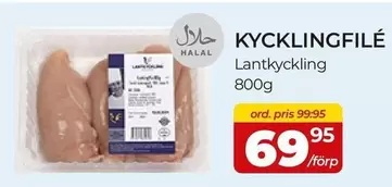 KYCKLINGFILÉ