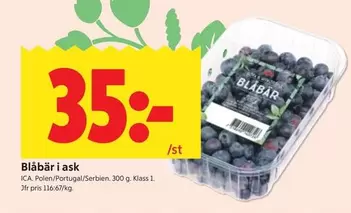 Blåbär i ask