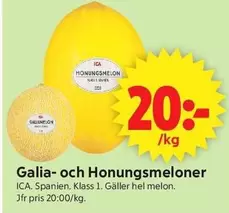Galia- och Honungsmeloner