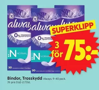 Always - Bindor, Trosskydd