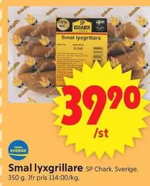 Smal lyxgrillare