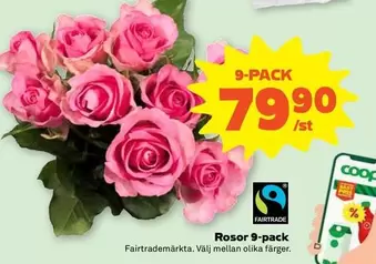 fairtrade - Rosor 9-pack