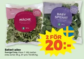 MÄCHE or BABY SPENAT Sallad i påse