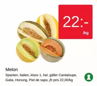 Melon
