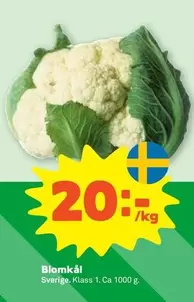 Blomkål