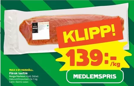 Färsk laxfilé