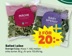 M	ilde{a}che, Baby Spenat