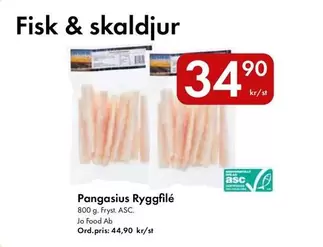 Pangasius Ryggfilé