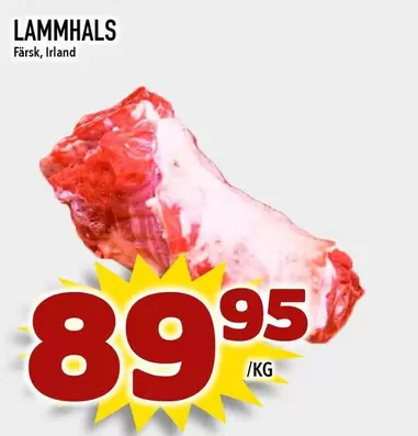LAMMHALS