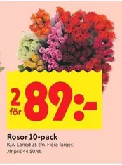 Rosor 10-pack