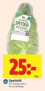 Spetskål