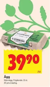 Stjärnägg - Ägg