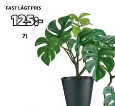FAST LÅGT PRIS
