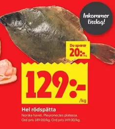 Hel rödsprätta