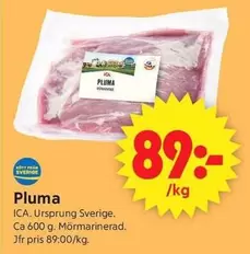 Pluma