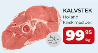KALVSTEK