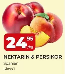 NEKTARIN & PERSIKOR
