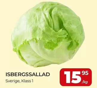 ISBERGSSALLAD