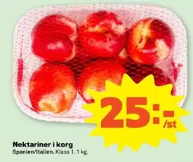 Nektariner