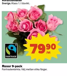 fairtrade - Rosor