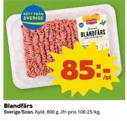 Scan - Blandfärs
