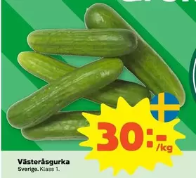 Västeråsgurka