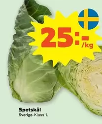 Spetskål