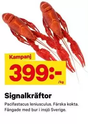 Signalkräftor