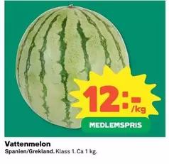 Vattenmelon