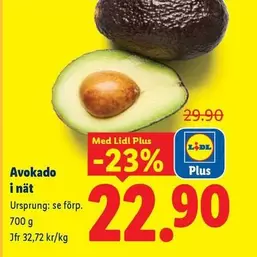 Avokado