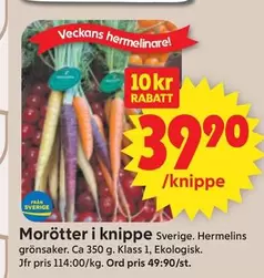 Morötter i knippe