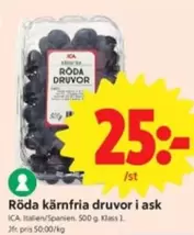 Röda kärnfria druvor