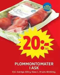 Plommontomater