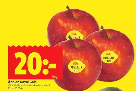 Äpplen Royal Gala