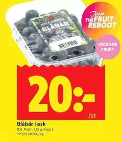 Blåbär