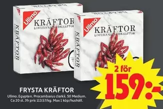 Ullmo - FRYSTA KRÄFTOR