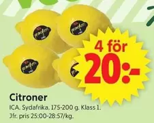 Citroner