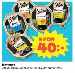 Kattmat
