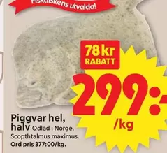 Piggvar hel, halv