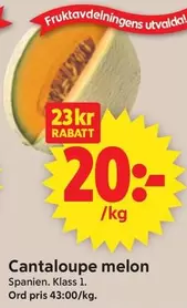 Cantaloupe melon