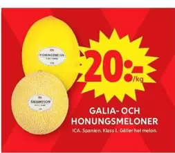 GALIA- OCH HONUNGS MELONER