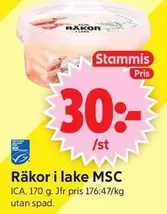 Räkor i lake
