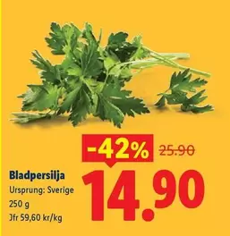 Bladpersilja