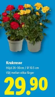 Krukor
