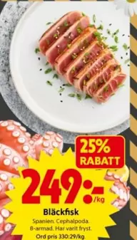 Bläckfisk