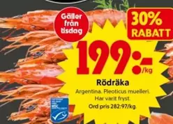 Rödräka